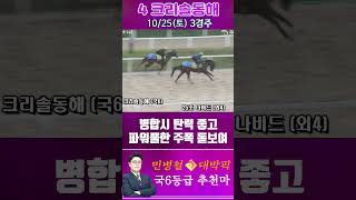 [서울 경마] 민병철 대박픽 2025년 10월 25일 토요 3R 추천마2 #경마 #하이라이트 #한국마사회 #고배당 #검빛 #코리아