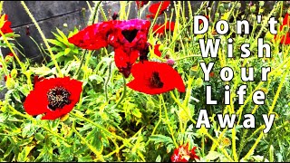 Don't Wish Your Life Away