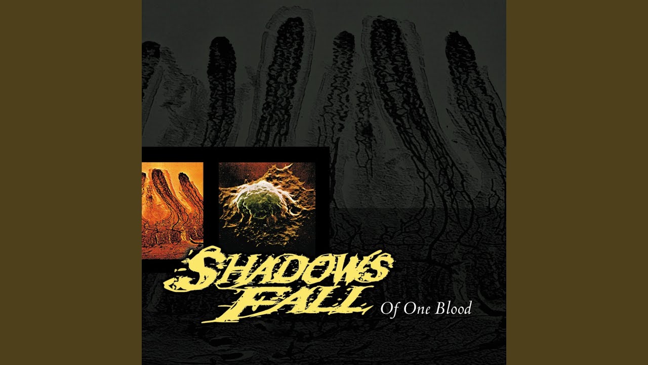 Shadows Fall - The First Noble Truth