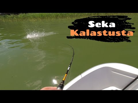 Sekakalastusta [ Jigikalastusta heinäkuussa merellä ]