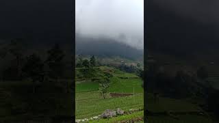 Download lagu Cemoro Sewu #sarangan #tawangmangu #tempathits #touringadventure #wisatahits #wisataindonesia mp3