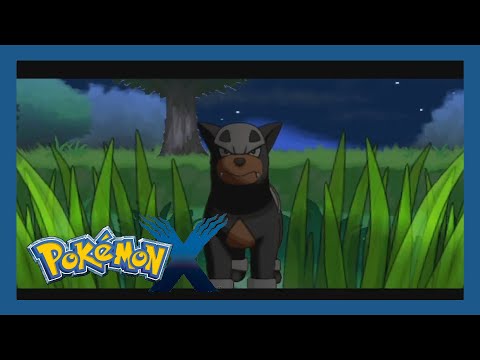 Capturas interesantes (Pokémon X NUZLOCK3)