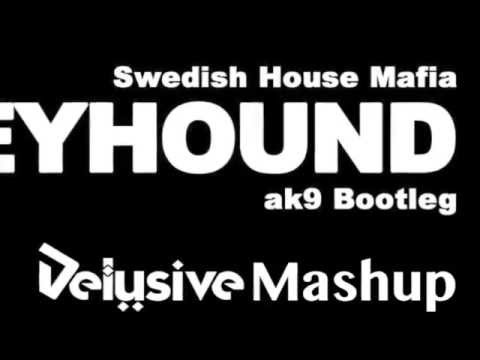 SHM & ak9 Vs. Lisa Millett - Now You're Gone Greyhound (Delusive 'Search of Light' Mashup)