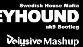 SHM & ak9 Vs. Lisa Millett - Now You're Gone Greyhound (Delusive 'Search of Light' Mashup)