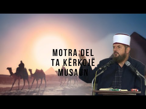 Motra del ta kërkojë Musaun alejhi selam - Dr. Shefqet Krasniqi | SHKËPUTJE