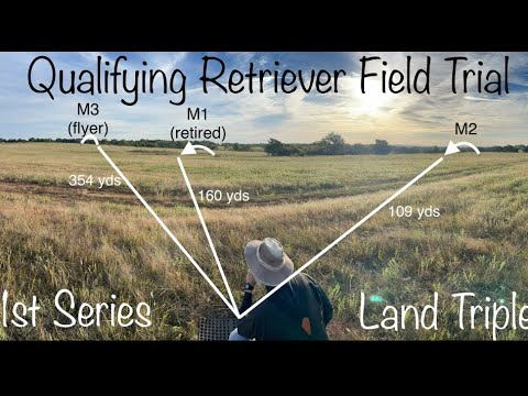 AKC Qualifying Retriever Field Trial: 1st Series - Sooner Club