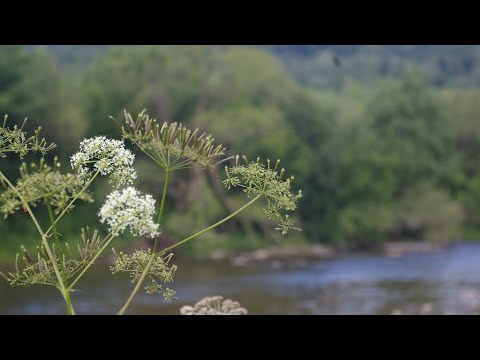Ośrodek sportowy SPORTOWA OSADA w burzeninie