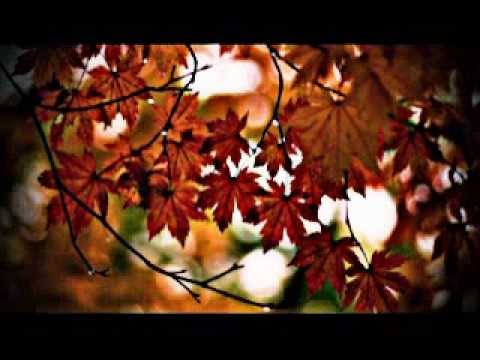 Gallowbraid - Autumn I