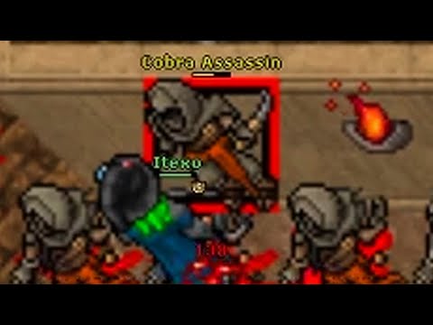 I PUT A COBRA ASSASSIN ON THE WALL