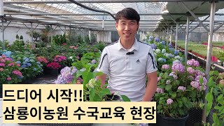 삼룡이농원 첫 수국교육 시작!!