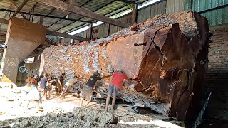 Download lagu Kayu mahoni terbesar didunia dibeli 1.2 milyar warga Jepang digergaji Sawmill bahan bak truk Hino mp3 Download lagu Kayu mahoni terbesar didunia dibeli 1.2 milyar warga Jepang digergaji Sawmill bahan bak truk Hino mp3
