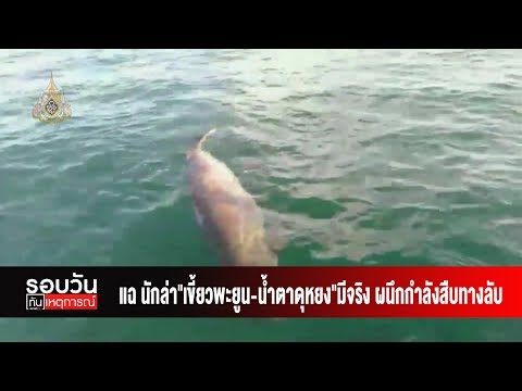 คลิกเพื่อดูคลิปวิดีโอ