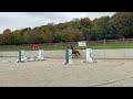 Très jolie jument Westphalienne de 9 ans +- 1m64