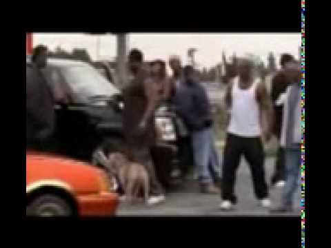 Gangster from USA VS Gangster from albania