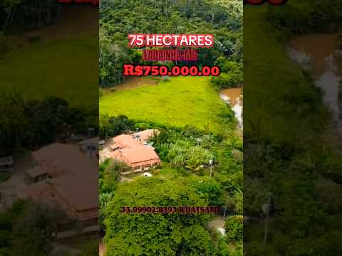 🌿🔥 BAIXOU O PREÇO! 🔥🌿FAZENDA À VENDA EM POTÉ–MG 💰 R$ 750.000,00📐 15 alqueires 📍 16 km de Poté–MG💧