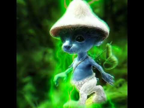 Smurf Cat #smurfcat #spectre