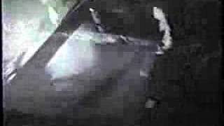 Cop Shoot Cop - Shine On Elizabeth