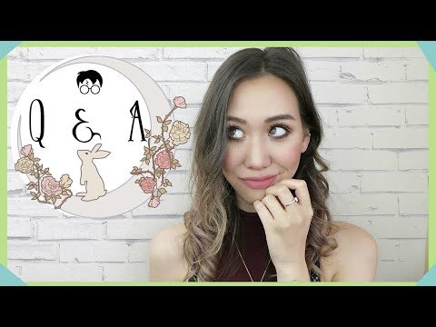Q & A  | Harry Potter,  Anime + Career 🤓