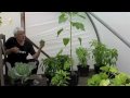 Victoria House Community Garden August 2009 Update