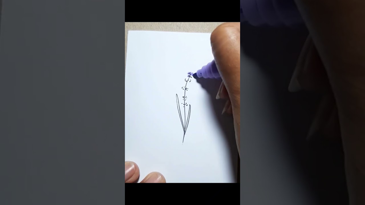 Lavender #shorts #youtubeshorts