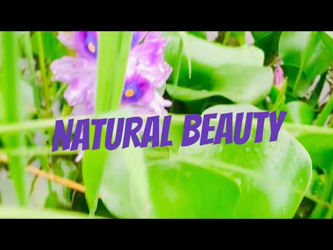 Natural beauty//dilsa bola just wow