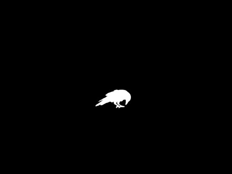 Jack White - The White Raven (Visualizer)