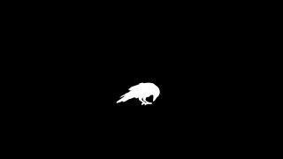 Kadr z teledysku The White Raven tekst piosenki Jack White