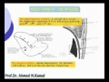 42 Abdomen Relations Of The Spleen Azhar Medicine Com