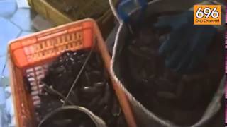 a-benevento-sequestrati-60-chili-di-pesce-mal-conservato