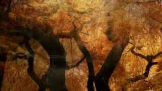 Lullaby Of The Leaves ~ Acker Bilk ~ (HD)