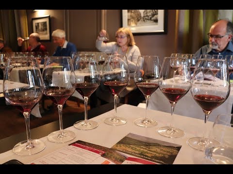 Terrasses du Larzac - 100 vins à découvrir