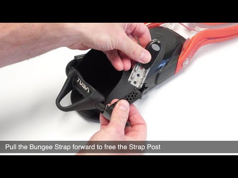 Correa Bungee Universal