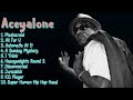 What You Gone Do With That-Aceyalone-Year's musical highlights-#allurisitaramaraju
