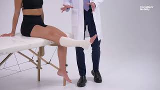 Seated Leg Extension