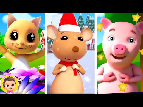 Seasons Song, Kids Song & Nursery Rhyme For Babies