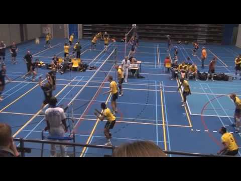 dynamo H2 2009 - 2010