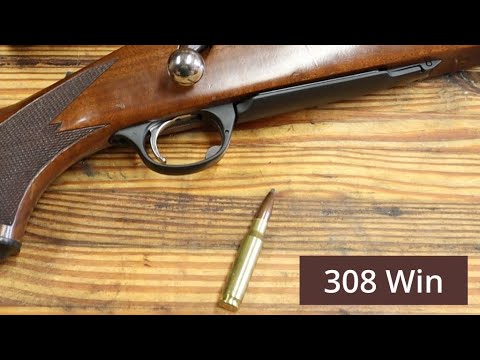 308 Winchester, Workhorse of The Shooting World