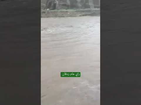 سيول جارفة سيله بله العند #ردفان  اليوم