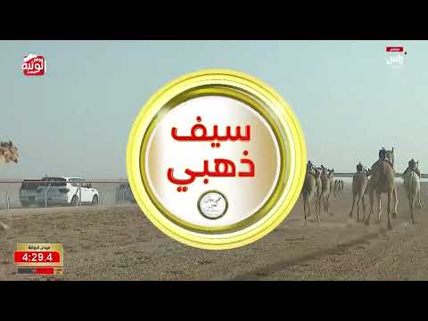  ش 1 سيف الحول (وسيلة) سعادة محمد سلطان مرخان الكتبي 9:07:64 , ختامي العين 2026/10/08 الروضة