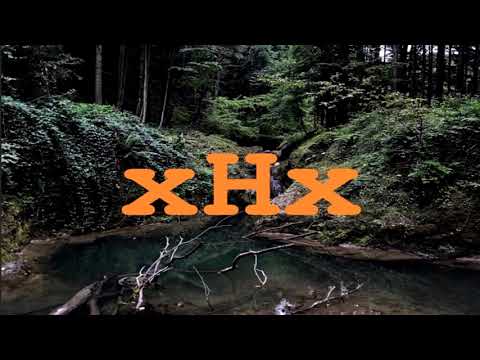 HRUSTA - STANJE UMA (unreleased 2017)