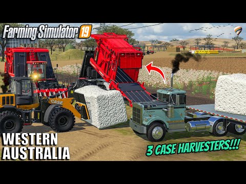I USED Case IH 635 to harvest THE BIGGEST COTTON FIELD I have SEEN 😲| Farming Simulator 19 Timelapse