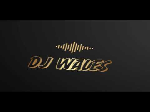 Big Room/Icona Pop,  Thomas Newson, Avicii,Tiesto, Steve Aoki,Shane Codd,R3HAB ,Hardwell