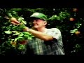 Florida S Natural Orange Juice Commercial 1999 VHS