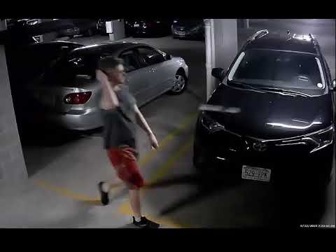 Galaxie High Rise Apartment Burglar