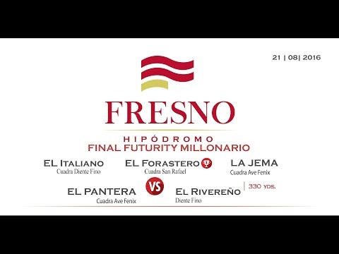 Final Futurity Millonario 21 de Agosto 2016 - Fresno Hipódromo