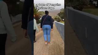 Simon's Town: A town of Penguins.🇿🇦 #travel #lifeisbutadream