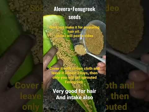 alovera+Fenugreek #shorts #alovera #fenugreek #hairoil #hairoilsforgrowth #sproutedfenugreek #hair