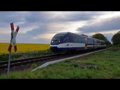 NEB 61144 bei Werneuchen