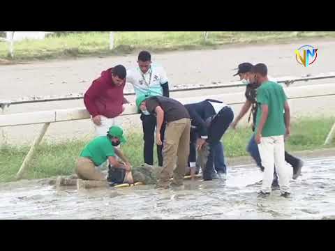 ANTONIO "EL POTRO" ALVAREZ AUXILIÓ A JINETE ACCIDENTADO