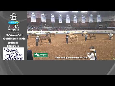 2021 Farnam AQHA World Show - Norick Arena